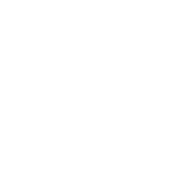 SSN legal